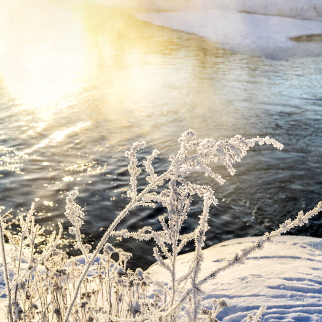 Winter sunny landscape with river and forest